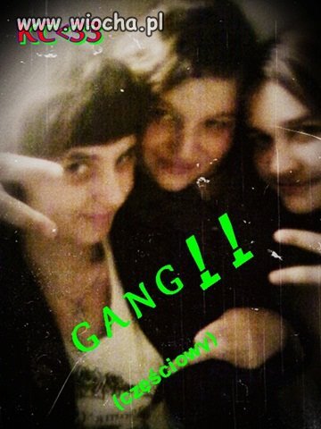 Gang