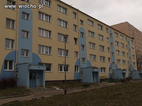 Polska Wszystko Potrafi 