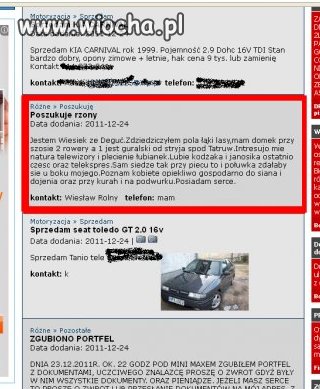 Wiesiek szuka rzony