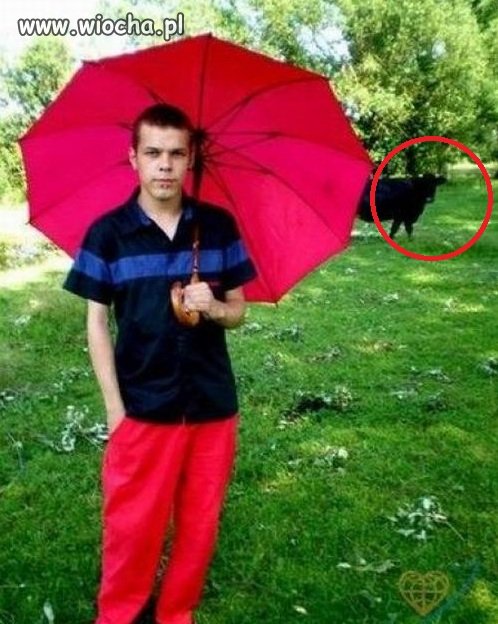 Wtf?