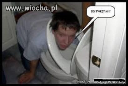 Twarzowe zdjęcie z kiblem