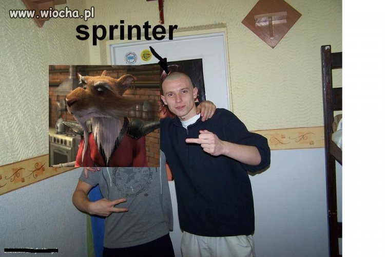 Sprinter z Turtlesów powraca! 