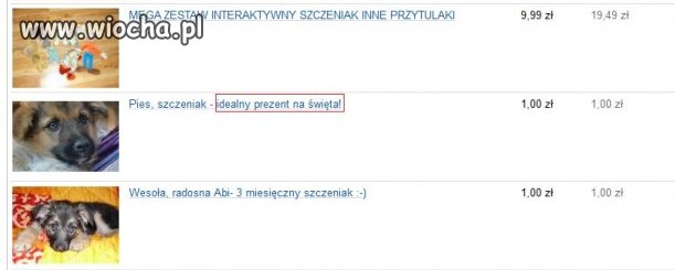 Idealny prezent na święta - tak?
