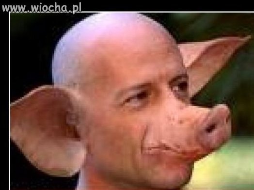 Człowiek prosie!