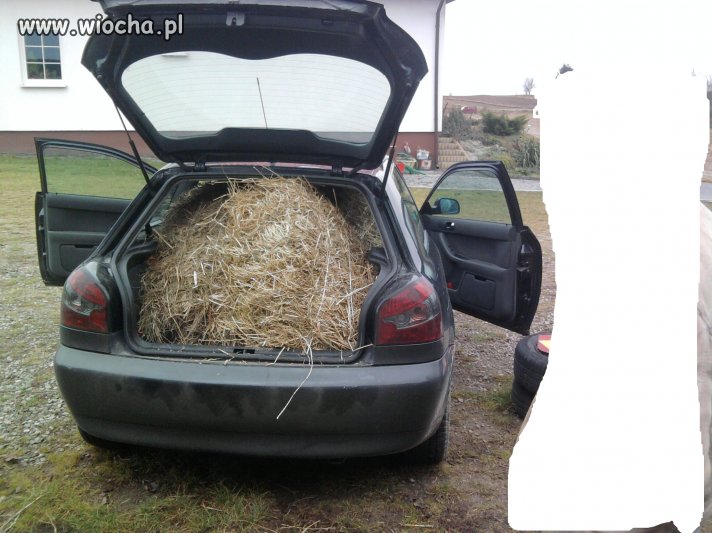 Siano he he 