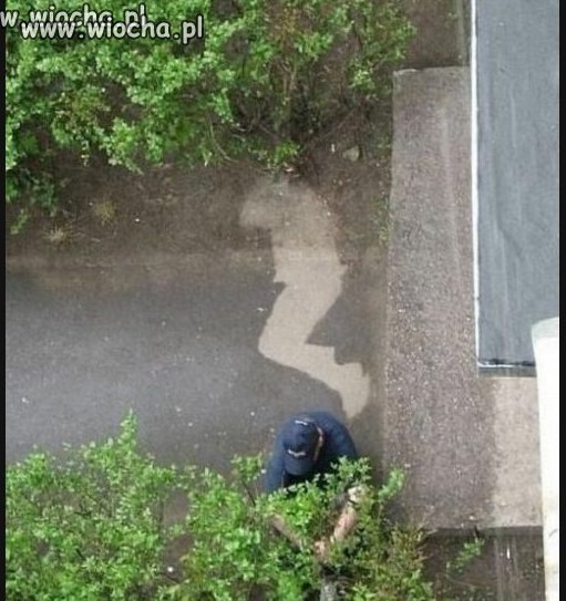 Chyba padał