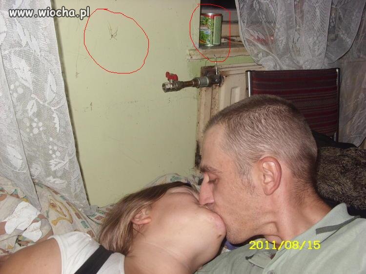 Dekorator wnętrz 
