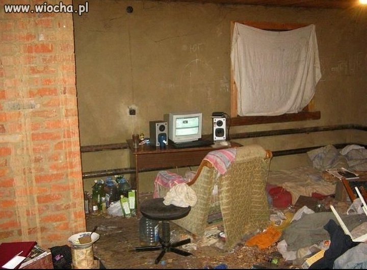 Studia???