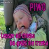 Piwo ...