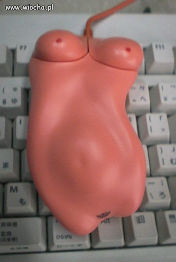 Myszka