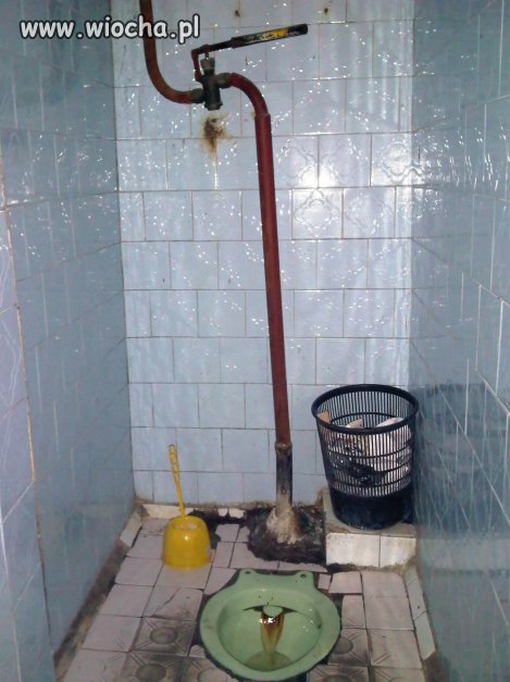 Rosyjskie WC