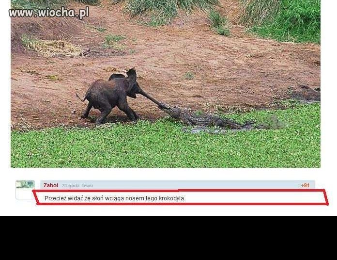Czy da radę?