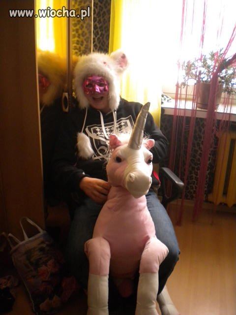 Konik 