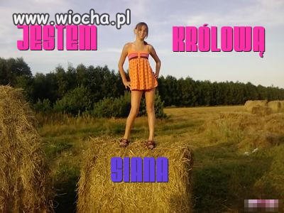 Brak mi słów 