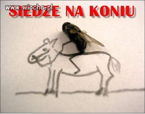 Siedze na koniu
