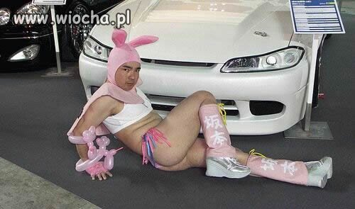Blacha