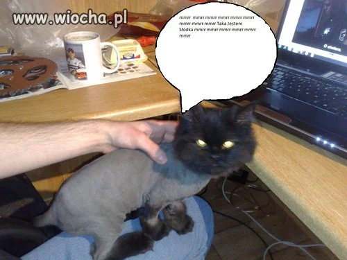 Brawo!!