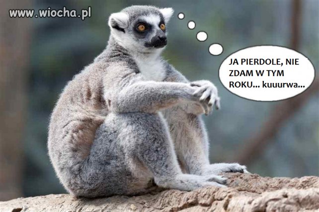 Zawsze chodzi to po głowie