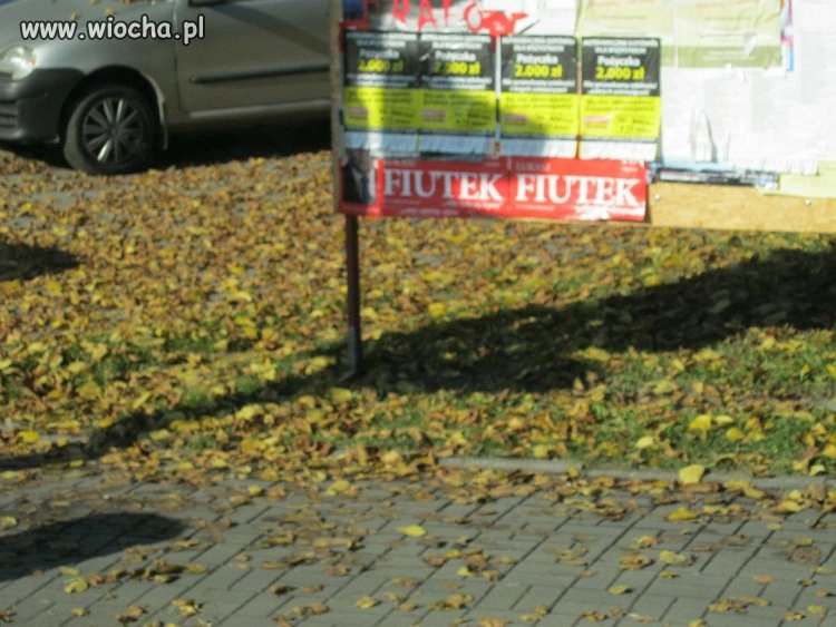 Fiutek Waldemar - kandydat na wybory