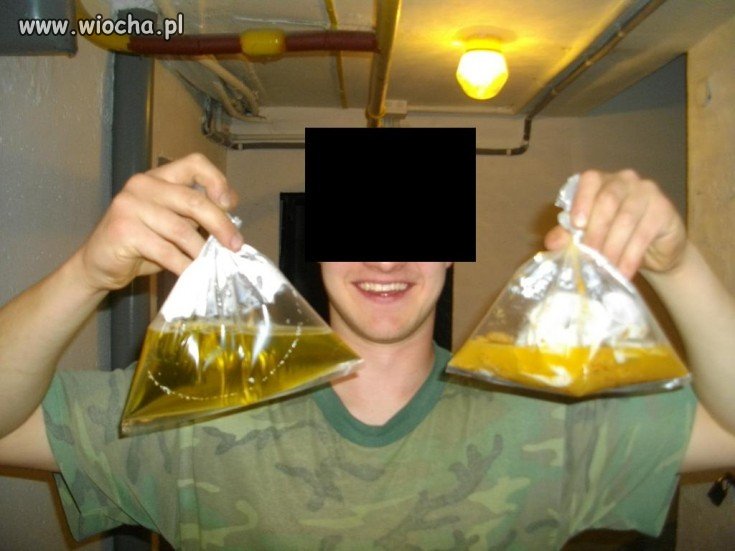 Bo w piwnicy się nie sika..