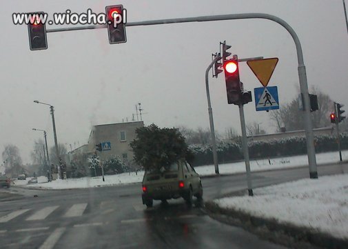 Świąteczny maluch