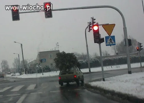 Świąteczny maluch