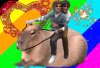 Nie wiem jakiego mieli dilera...