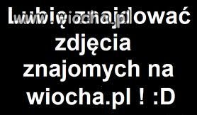 Wy też? 