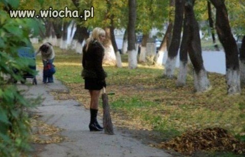Wiedźma + miotła