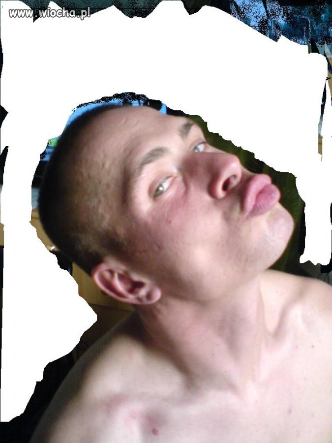 Jest max dzióbek jest max wiocha 