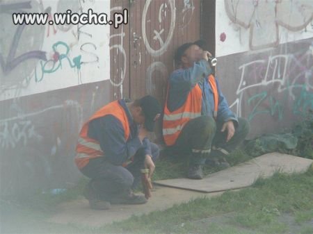 Polskie roboty drogowe