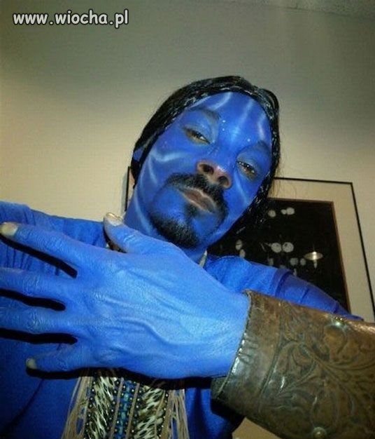 Avatar?
