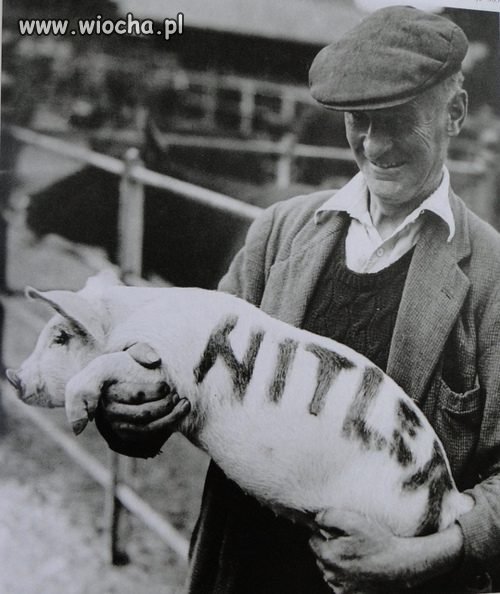 Hitler