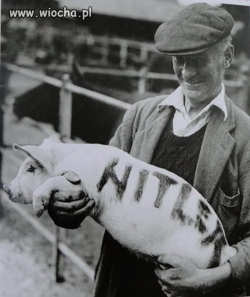 Hitler