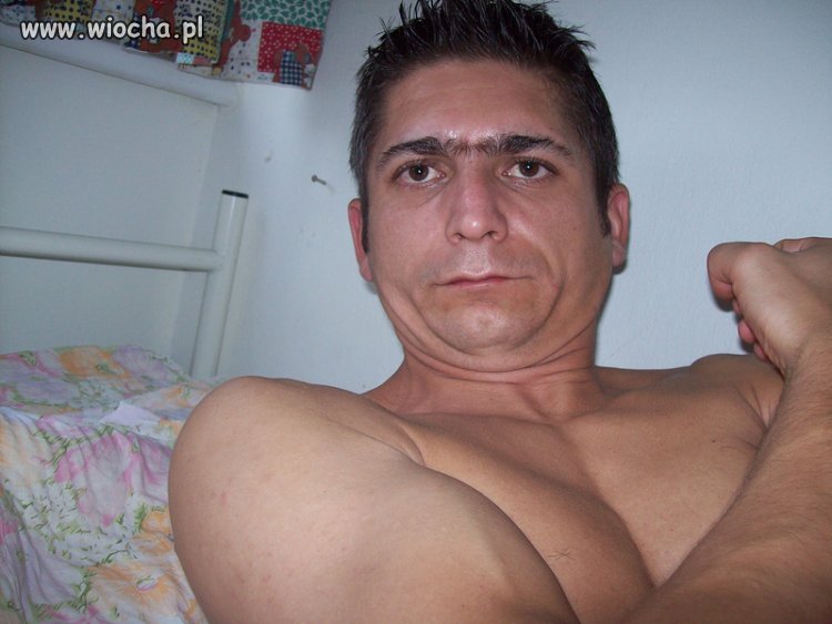 Boski Żigolo 