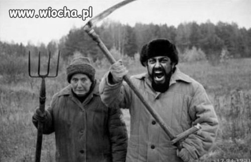This is