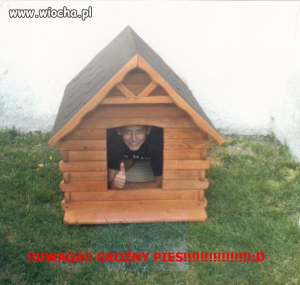 Uwaga groźny pies...