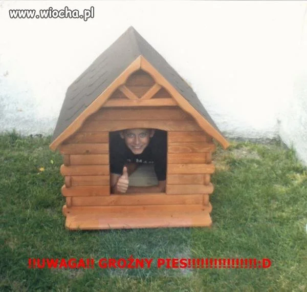 Uwaga groźny pies...