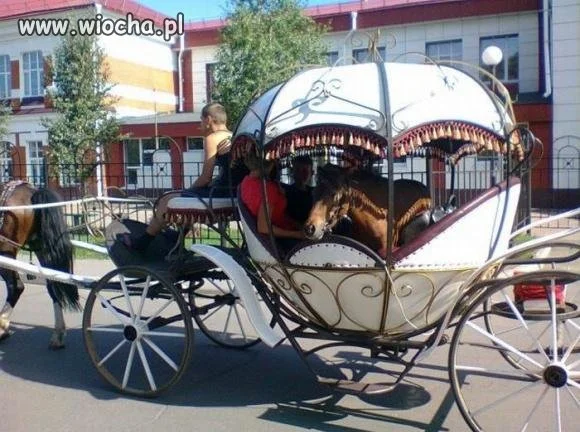 NIE TYLKO KOPCIUSZEK