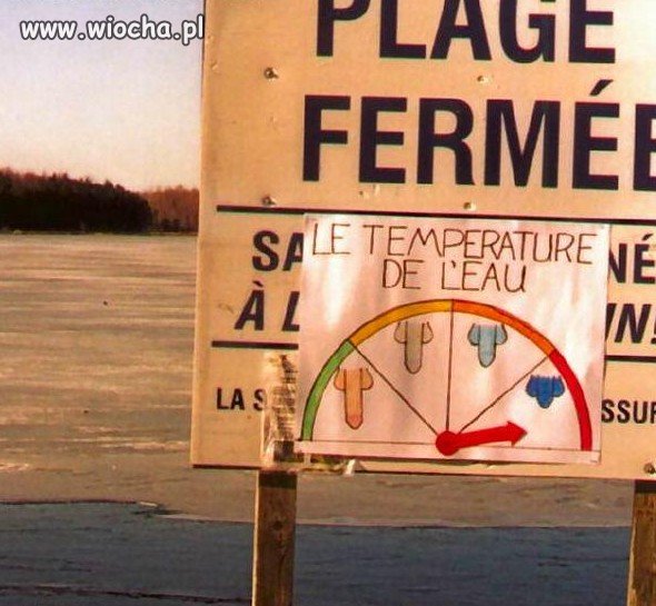 Naturalny termometr