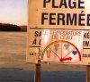 Naturalny termometr