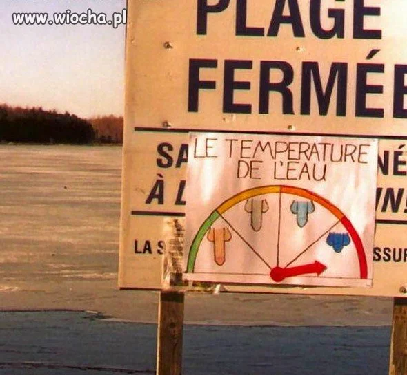 Naturalny termometr