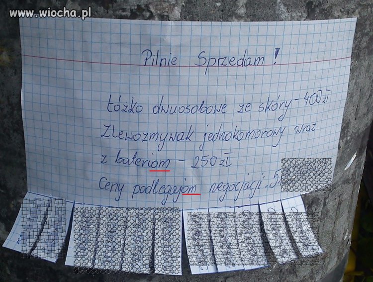 "DajOM" za pół darmo