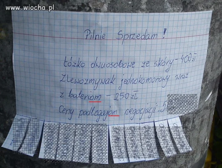 "DajOM" za pół darmo