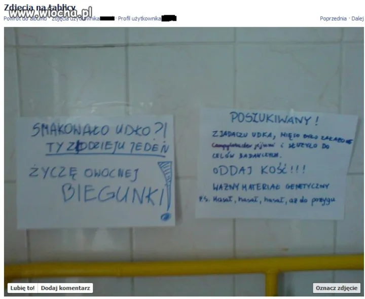Polskie akademiki...