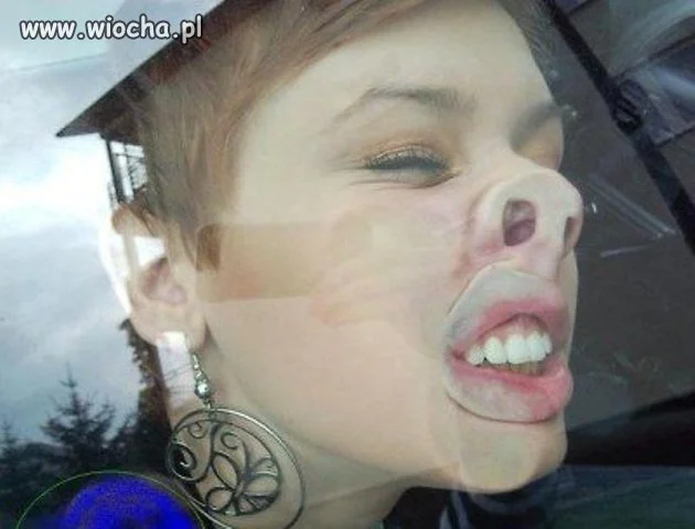 Przyłożę ryj do szyby