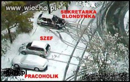 Pokaż mi jak parkujesz