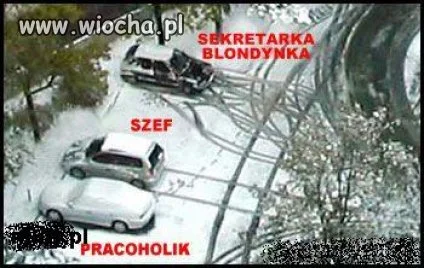 Pokaż mi jak parkujesz