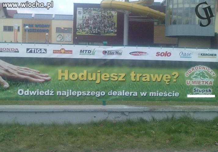 Sami oceńcie