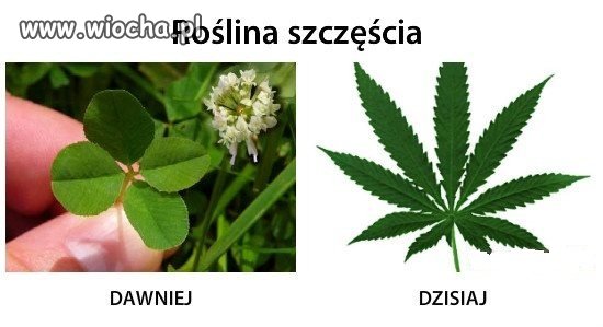 Różnica pokoleniowa....